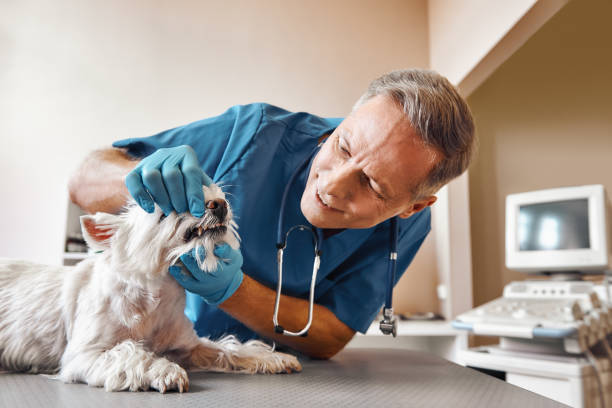 Best Emergency Tooth Extraction in Verona, VA